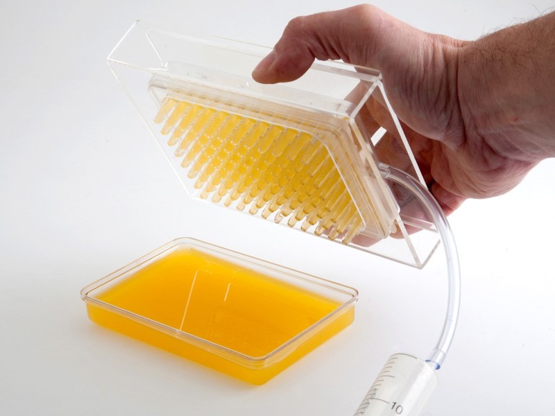 caviar-box