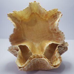 TULIPAN ESTRELLA GR PAQX10 REDO
