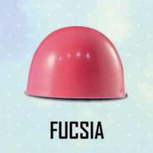 COLOR POLVO CHOC. FUCSIA 2GR
