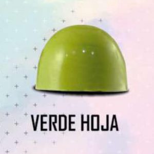 COLOR POLVO CHOC. VERDE HOJA 2GR