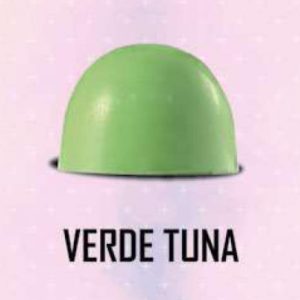 COLOR POLVO CHOC. VERDE TUNA 2GR