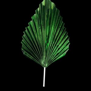 HOJA VERDE ABANICO
