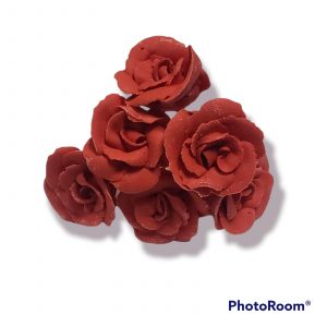 FLOR PALILLO ROJO X12