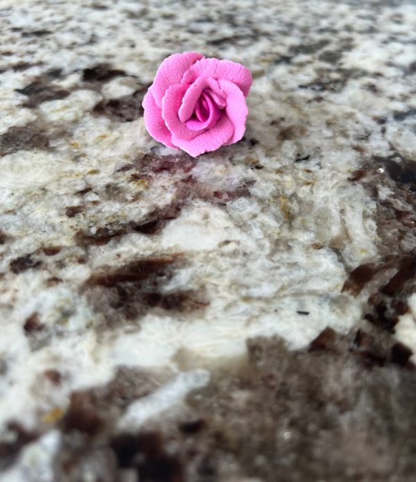 FLOR PALILLO FUCSIA X12
