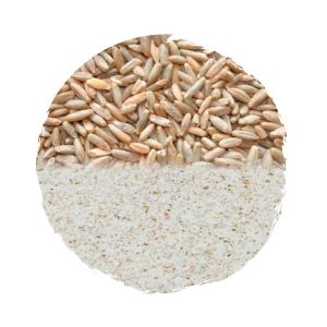 HARINA DE CENTENO 1 KG