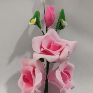 RAMO LARGO ROSADO