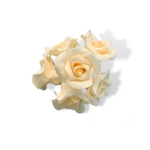 ROSA X 6 BEIGE
