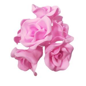ROSA X 6 FUCSIA