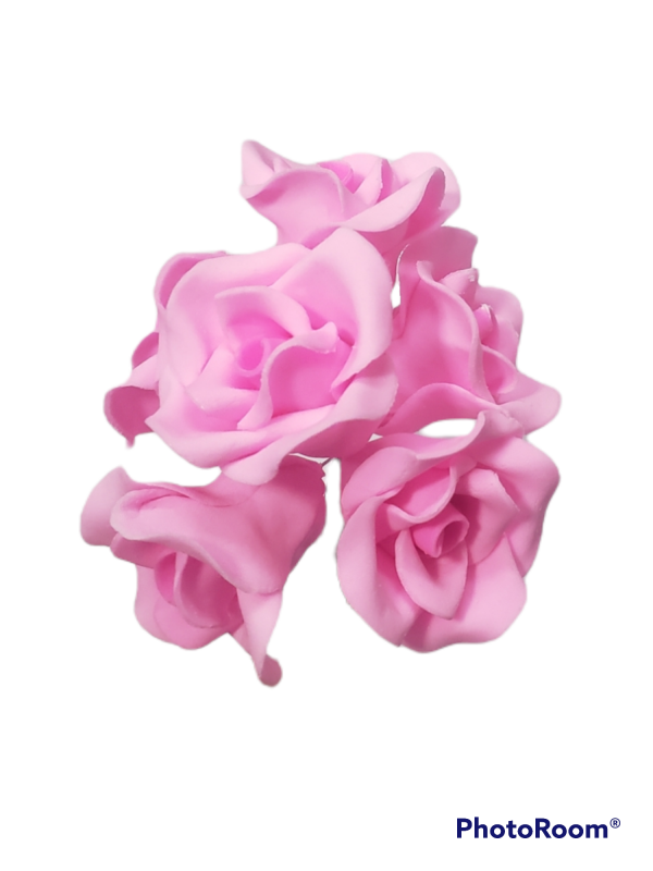 ROSA X 6 FUCSIA