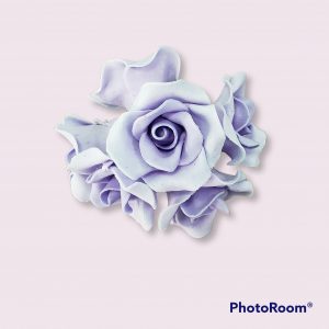 ROSA X 6 LILA