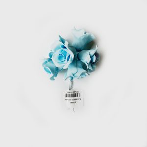 ROSA X 6 CELESTE