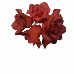 ROSA X 6 ROJA