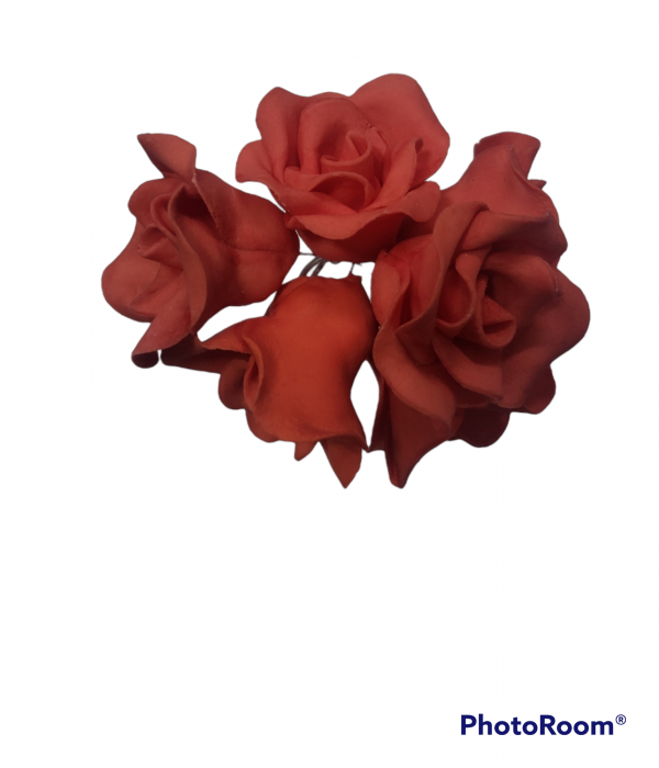 ROSA X 6 ROJA