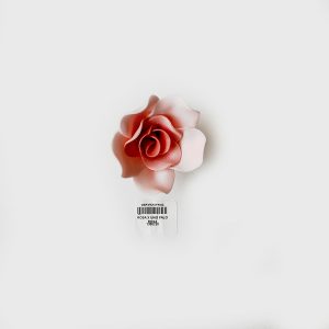 ROSA X UNID PALO ROSA