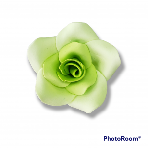 ROSA X UNID VERDE LIMON