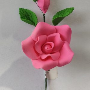 RAMO ECON FUCSIA