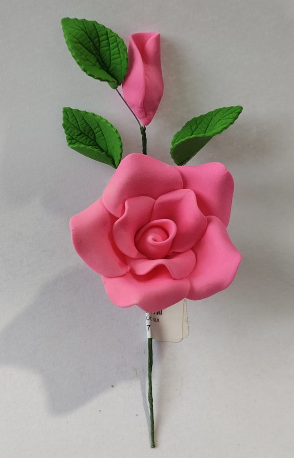RAMO ECON FUCSIA