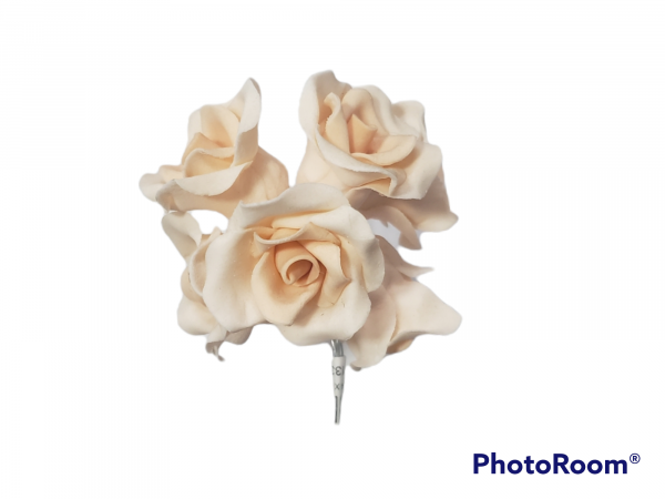 ROSA X 6 CORAL