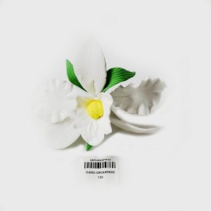 RAMO ORQUIDEAS