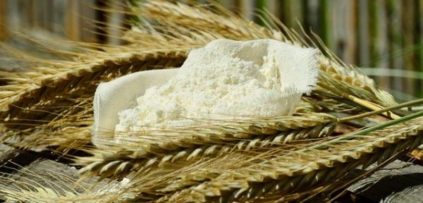 MAICENA AL GRANEL 500GR