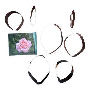 CORTADOR FLOR ROSA569
