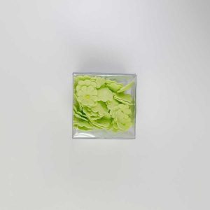 MARGARITA GRANDE VERDLIMON