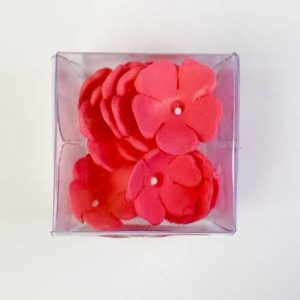 FLOR SILVES FUCSIA