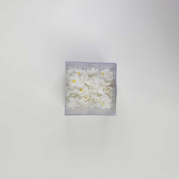MARGARITA MEDIANA BLANCA