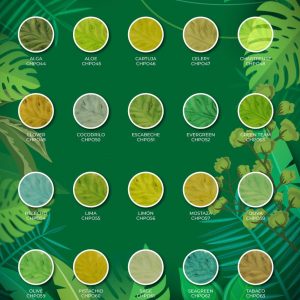 KIT DE MATIZADOR POLVO TONO HOJAS 20UNID