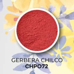 MATIZADOR PETALOS Y FLORES GERGERA CHILCO 10G