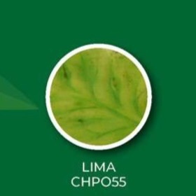 MATIZADOR TONOS HOJA LIMA 8G