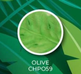 MATIZADOR TONOS HOJA OLIVE 8G