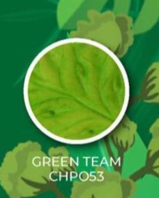MATIZADOR TONOS HOJA GREEN TEA 8G