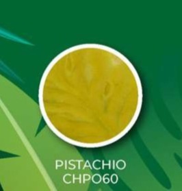 MATIZADOR TONOS HOJA PISTACHO 8G