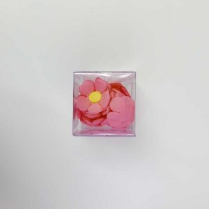 MARGARITA X12 FUCSIA