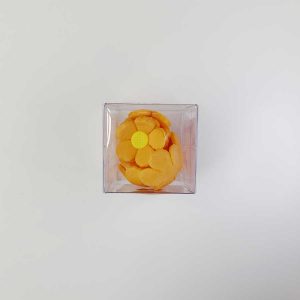 MARGARITA X12 NARANJA