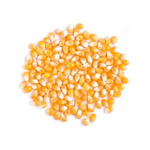 CANGUI DE 1LB