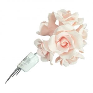 ROSA X 6 PALO ROSA