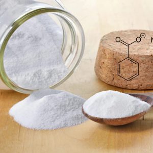 BENZOATO DE SODIO 250GM