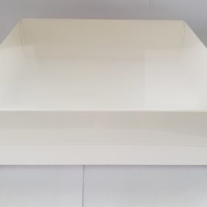 CAJA TORTA TAPA ACETATO 20X20X5CM