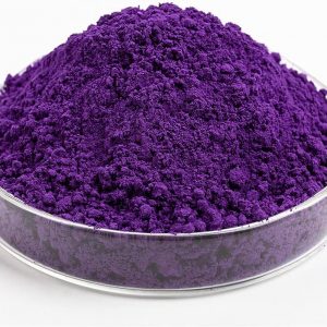 COLOR POLVO CHOC. MORADO 2GR