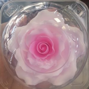 ROSA ROSADA 8CM CON ENVASE